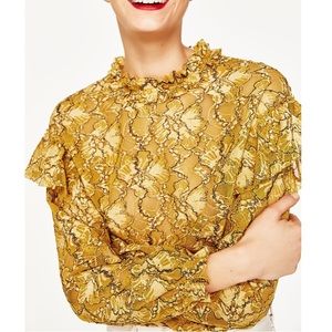 Zara Lace Cropped Top